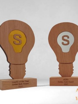 Trophée bois ampoule 100% made in France idée sur mesure