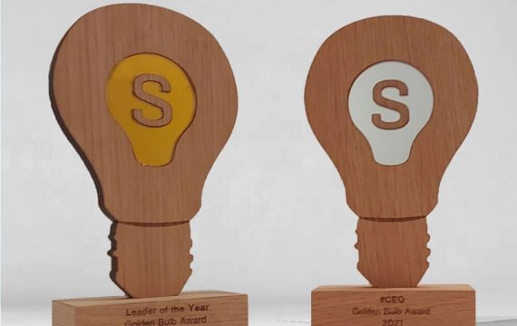 Trophée bois ampoule 100% made in France idée sur mesure