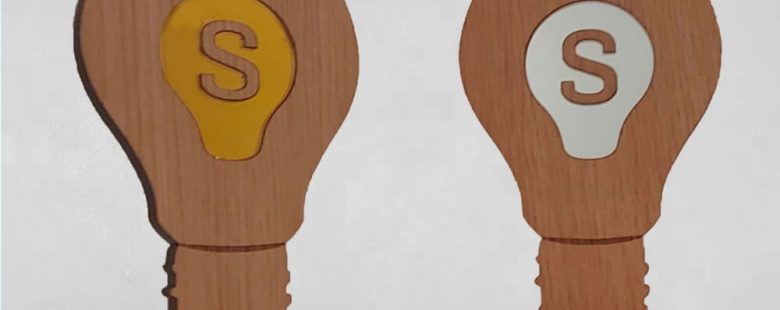 Trophée bois ampoule 100% made in France idée sur mesure