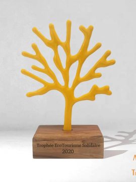 Trophée Arbre verre personnalisé 100% made in France