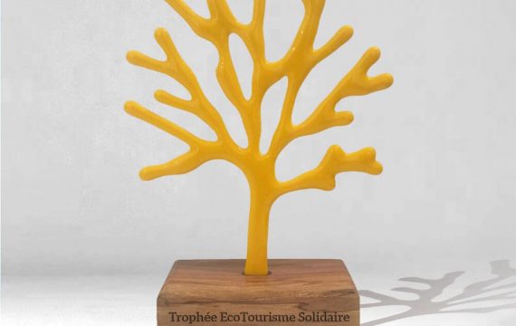 Trophée Arbre verre personnalisé 100% made in France