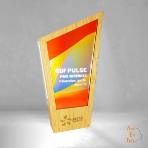 Trophée EDF lumineux 100% made in France personnalisé sur mesure