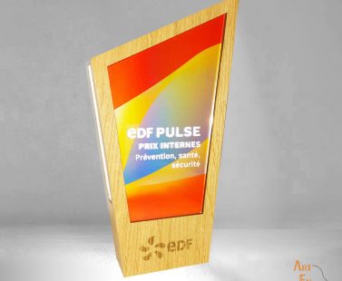 Trophée EDF lumineux 100% made in France personnalisé sur mesure