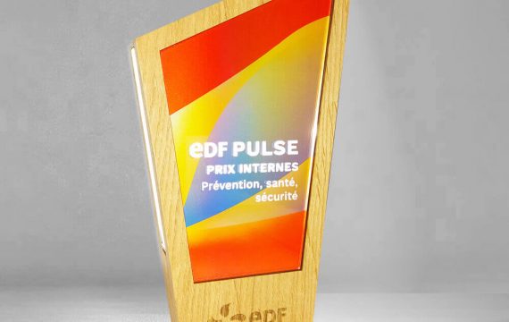 Trophée EDF lumineux 100% made in France personnalisé sur mesure