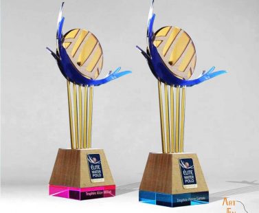 Trophée Water Polo100% made in France