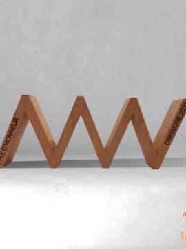 Trophée bois développement durable 100% made in France