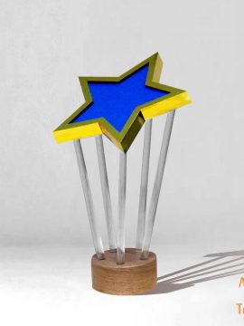 trophée Etoile sur mesure personnalisé made in France