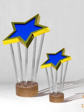 trophée Etoile sur mesure personnalisé made in France