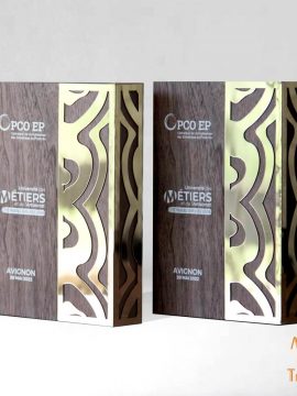 Trophée sur mesure made in France
