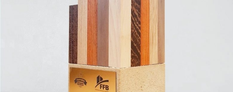 création trophées sur mesure