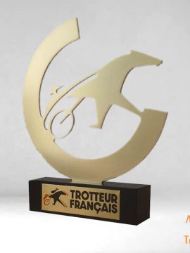 trophée métal sur mesure