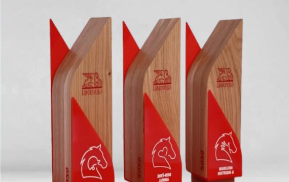 trophée bois sur mesure