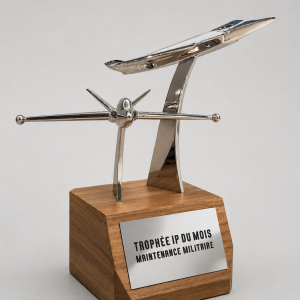 trophée avion 3D sur mesure
