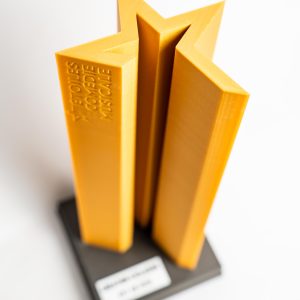 création trophée 3D sur mesure