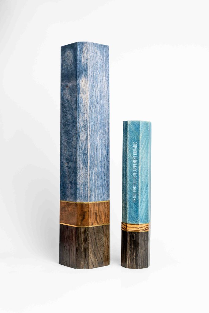 trophée luxe bois sur mesure