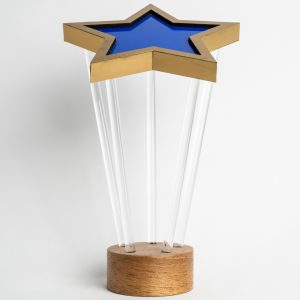 trophées éthiques en bois sur mesure