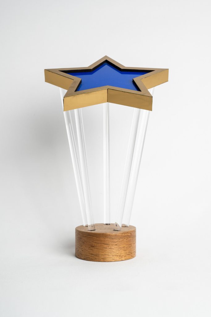 trophées éthiques en bois sur mesure