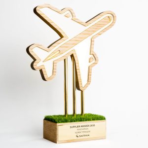 trophée avion sur mesure