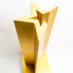 création trophée bois sur mesure