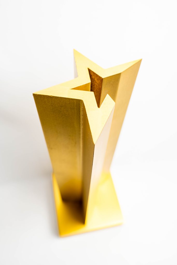 création trophée bois sur mesure