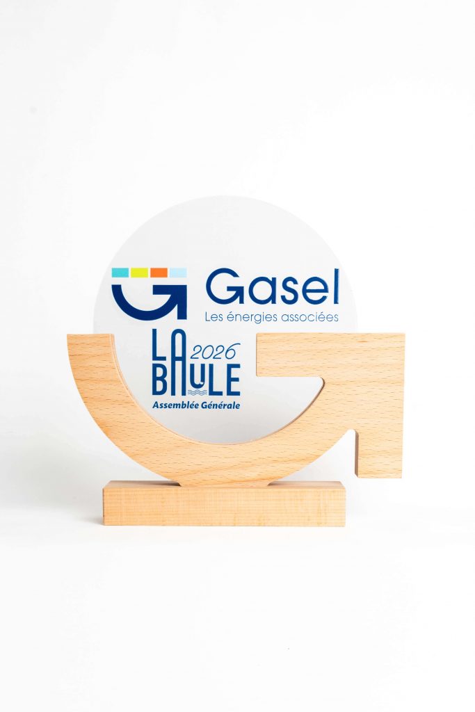 Trophée sur mesure en bois massif et plexiglas personnalisé, fabrication artisanale Made in France pour une assemblée générale d'entreprise.